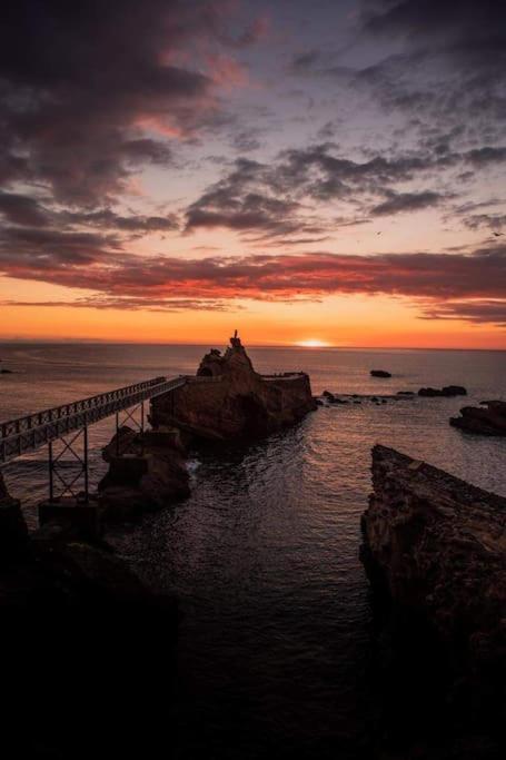 Magnifique T3 - Grande Biarritz