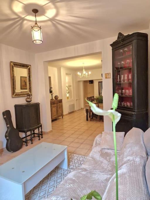 Magnifique T3 - Grande Apartment