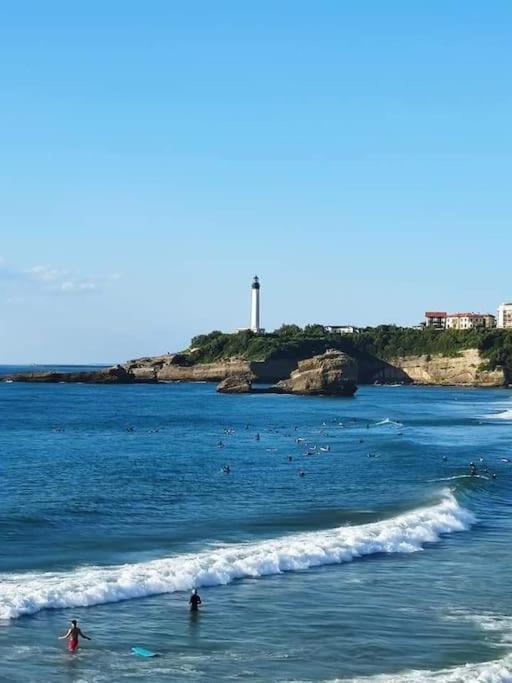 Magnifique T3 - Grande * Biarritz