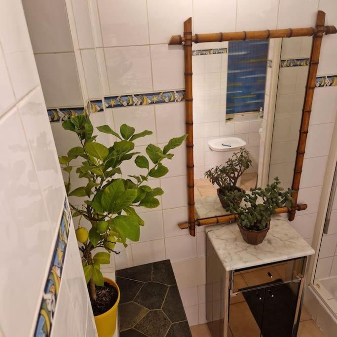 Apartment Magnifique T3 - Grande *