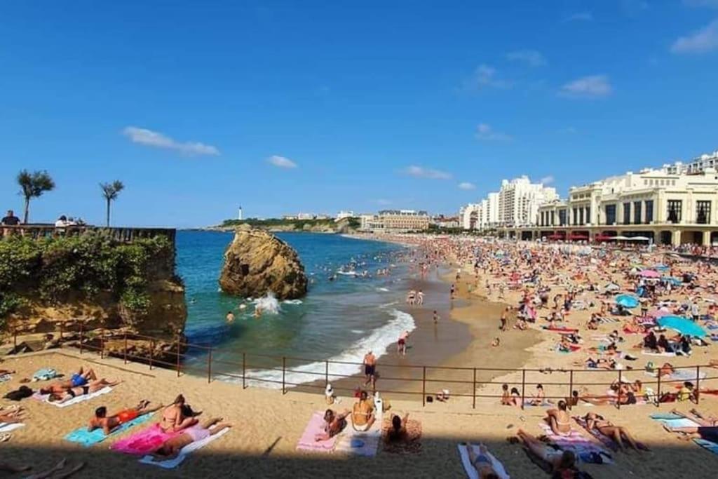 Magnifique T3 - Grande Biarritz